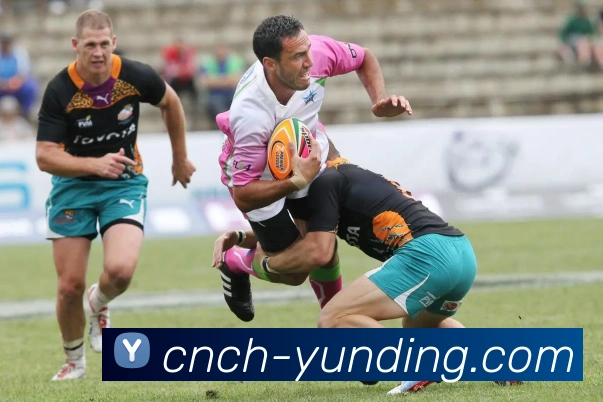 多媒体互动体验