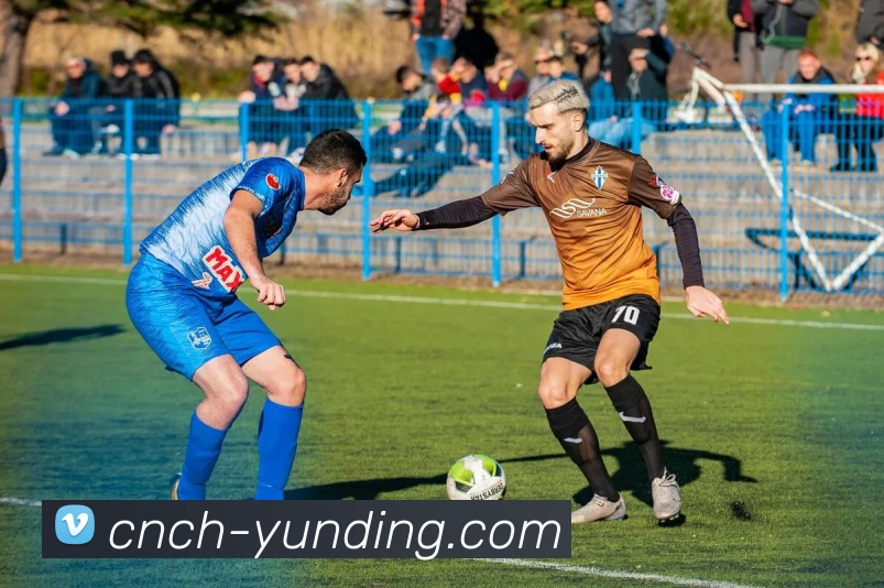 4118云顶官网APP 体育赛事宣传图